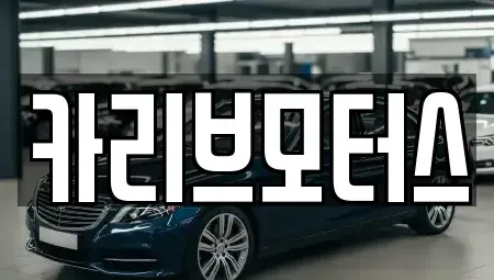경기도 화성시 새솔동 중고차 전문 카리브모터스