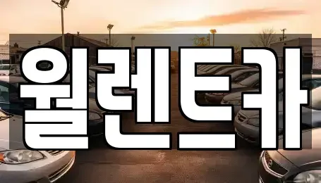 경기도 화성시 오산동 렌트카 전문 월렌트카