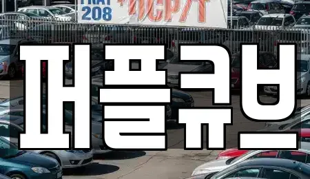 경기도 화성시 오산동 장기렌트카 전문 퍼플큐브
