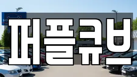 경기도 화성시 오산동 장기렌트카 전문 퍼플큐브