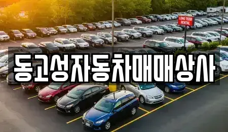 경남 고성군 구만면 중고차 전문 동고성자동차매매상사