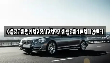 경남 고성군 구만면 중고차 전문 수출중고차법인차고장사고차망자차압류차1톤차매입센터