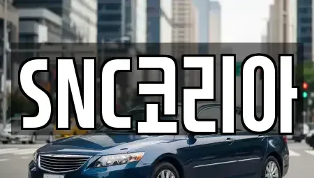 경남 김해시 내동 렌트카 전문 SNC코리아