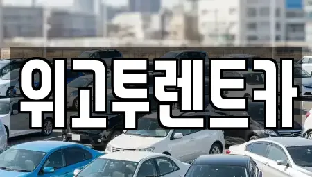 경남 김해시 내동 렌트카 전문 위고투렌트카