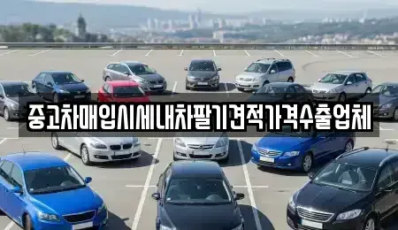 경남 김해시 내동 중고차 전문 중고차매입시세내차팔기견적가격수출업체