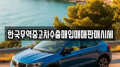 경남 김해시 내동 중고차 전문 한국무역중고차수출매입매매판매시세