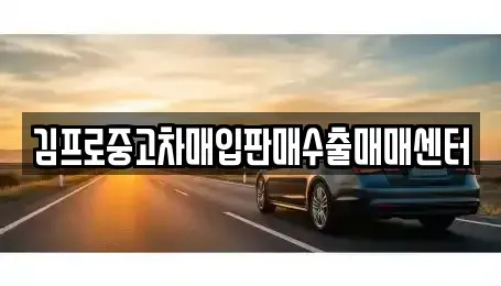 경남 김해시 내동 중고차매입 전문 김프로중고차매입판매수출매매센터