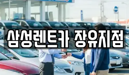경남 김해시 단기렌트카 전문 삼성렌트카 장유지점