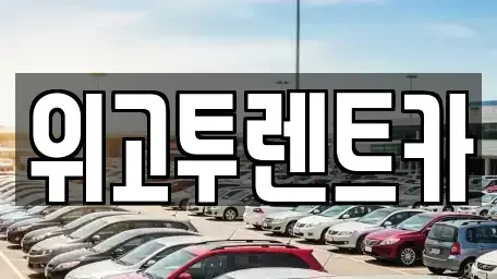 경남 김해시 단기렌트카 전문 위고투렌트카
