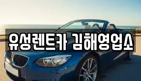 경남 김해시 렌트카,단기렌트카,장기렌트카,중고차,중고차매매,중고차매입