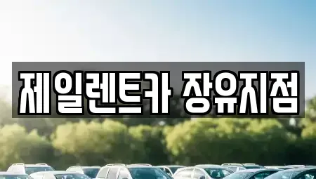 경남 김해시 렌트카 전문 제일렌트카 장유지점