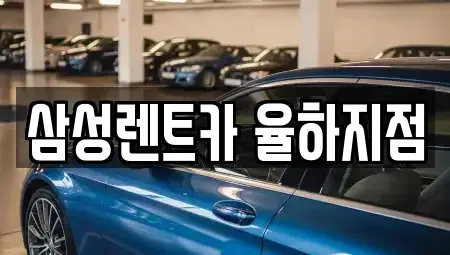 경남 김해시 율하동 렌트카 전문 삼성렌트카 율하지점