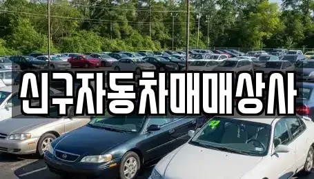 경남 김해시 율하동 중고차매매 전문 신구자동차매매상사
