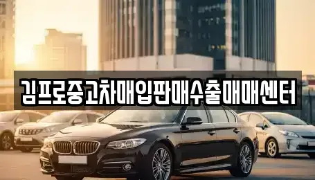 경남 김해시 율하동 중고차매입 전문 김프로중고차매입판매수출매매센터