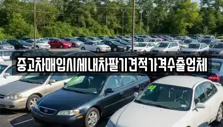 경남 김해시 중고차매입 전문 중고차매입시세내차팔기견적가격수출업체