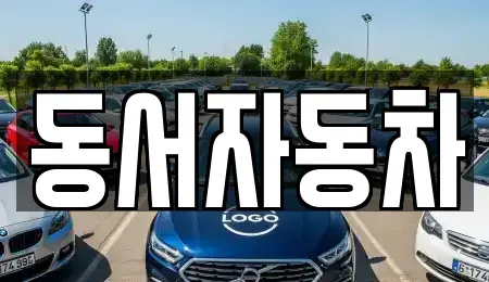 경남 밀양시 산외면 렌트카,단기렌트카,장기렌트카,중고차,중고차매매,중고차매입