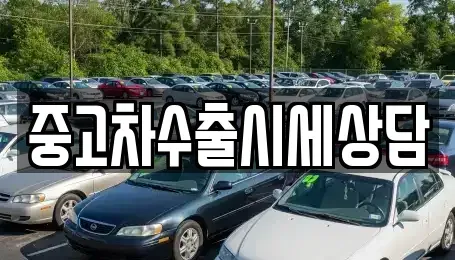 경남 사천시 대방동 중고차매매 전문 중고차수출시세상담