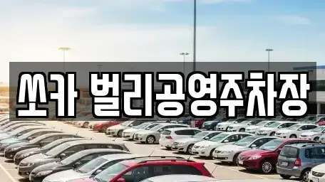 경남 사천시 봉남동 렌트카 전문 쏘카 벌리공영주차장