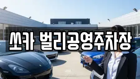 경남 사천시 좌룡동 렌트카 전문 쏘카 벌리공영주차장