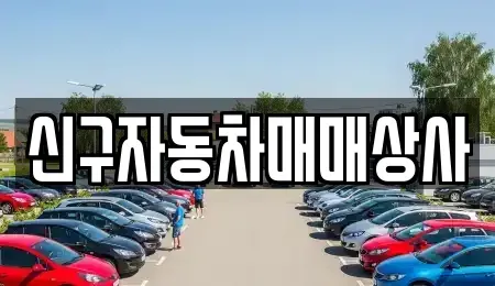 경남 양산시 산막동 중고차매매 전문 신구자동차매매상사