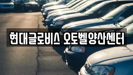 경남 양산시 산막동 중고차매매 전문 현대글로비스 오토벨양산센터