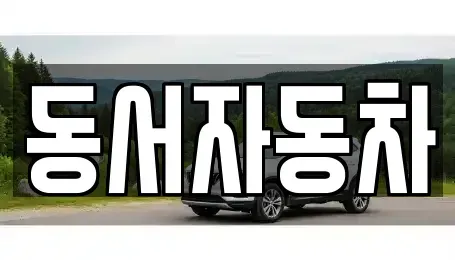 경남 창원시 마산합포구 대내동 중고차매매 전문 동서자동차