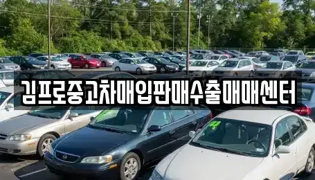 경남 창원시 마산합포구 대내동 중고차매입 전문 김프로중고차매입판매수출매매센터