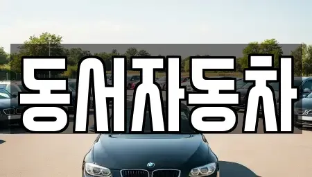 경남 창원시 마산합포구 두월동2가 중고차매매 전문 동서자동차