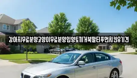 경남 창원시 마산합포구 두월동2가 중고차매입 전문 강아지무료분양고양이무료분양입양토끼거북말티푸먼치킨유기견