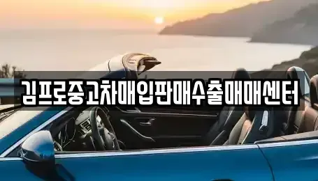 경남 창원시 마산합포구 두월동2가 중고차매입 전문 김프로중고차매입판매수출매매센터