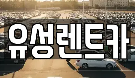 경남 창원시 성산구 용호동 렌트카 전문 유성렌트카