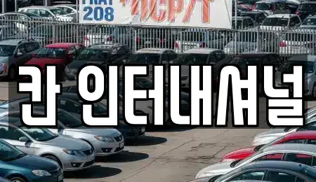 경남 창원시 성산구 용호동 중고차매매 전문 칸 인터내셔널