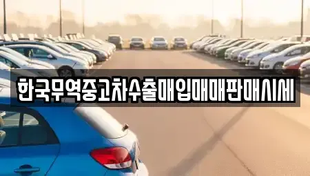 경남 창원시 성산구 용호동 중고차매입 전문 한국무역중고차수출매입매매판매시세