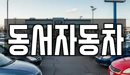 경남 창원시 의창구 차용동 중고차 전문 동서자동차