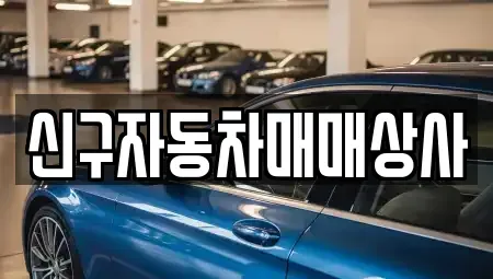 경남 창원시 진해구 경화동 중고차 전문 신구자동차매매상사