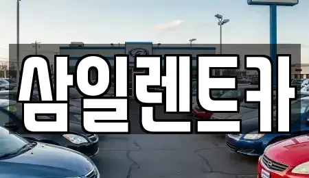 경남 창원시 진해구 두동 렌트카 전문 삼일렌트카