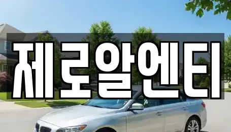 경남 창원시 진해구 두동 렌트카 전문 제로알엔티