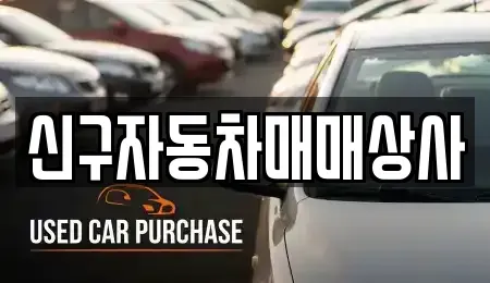 경남 창원시 진해구 숭인동 중고차 전문 신구자동차매매상사
