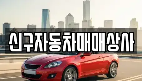 경남 창원시 진해구 화천동 중고차 전문 신구자동차매매상사
