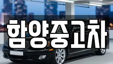 경남 함양군 함양읍 장기렌트카,중고차,렌트카,단기렌트카,중고차매입,중고차매매