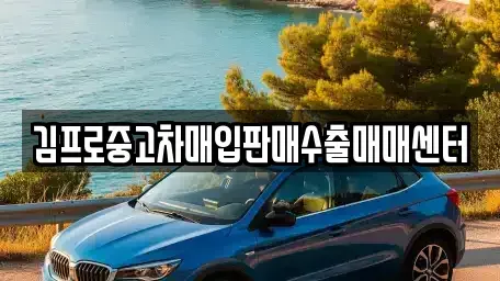 경북 경산시 삼남동 중고차,렌트카,중고차매입,중고차매매,장기렌트카,단기렌트카