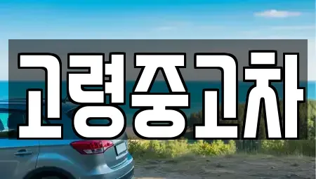 경북 고령군 운수면 중고차매매 전문 고령중고차