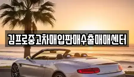 경북 고령군 운수면 중고차매매 전문 김프로중고차매입판매수출매매센터