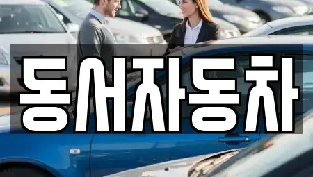 경북 고령군 운수면 중고차매매,단기렌트카,중고차매입,장기렌트카,중고차,렌트카