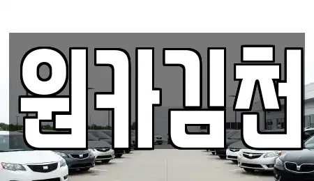경북 김천시 덕곡동 렌트카 전문 원카김천