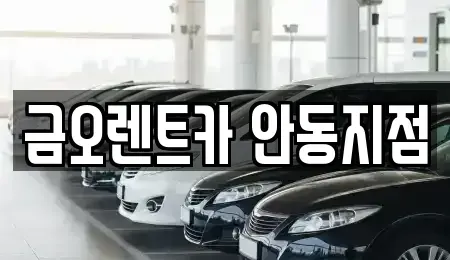 경북 안동시 송천동 렌트카 전문 금오렌트카 안동지점
