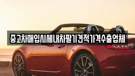 경북 영양군 중고차 전문 중고차매입시세내차팔기견적가격수출업체