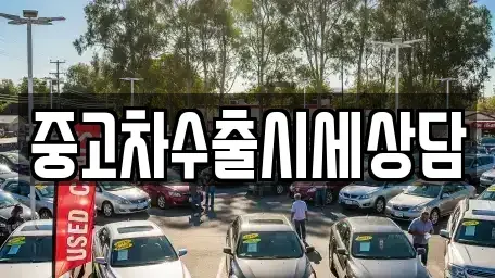 경북 영천시 도림동 중고차매매 전문 중고차수출시세상담