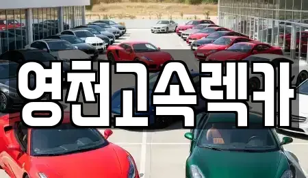 경북 영천시 오미동 렌트카 전문 영천고속렉카