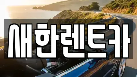경북 영천시 화룡동 렌트카 전문 새한렌트카